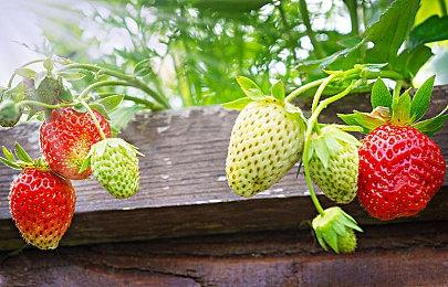 蒙特利尔工作室改为每周四天工作制 薪水不变